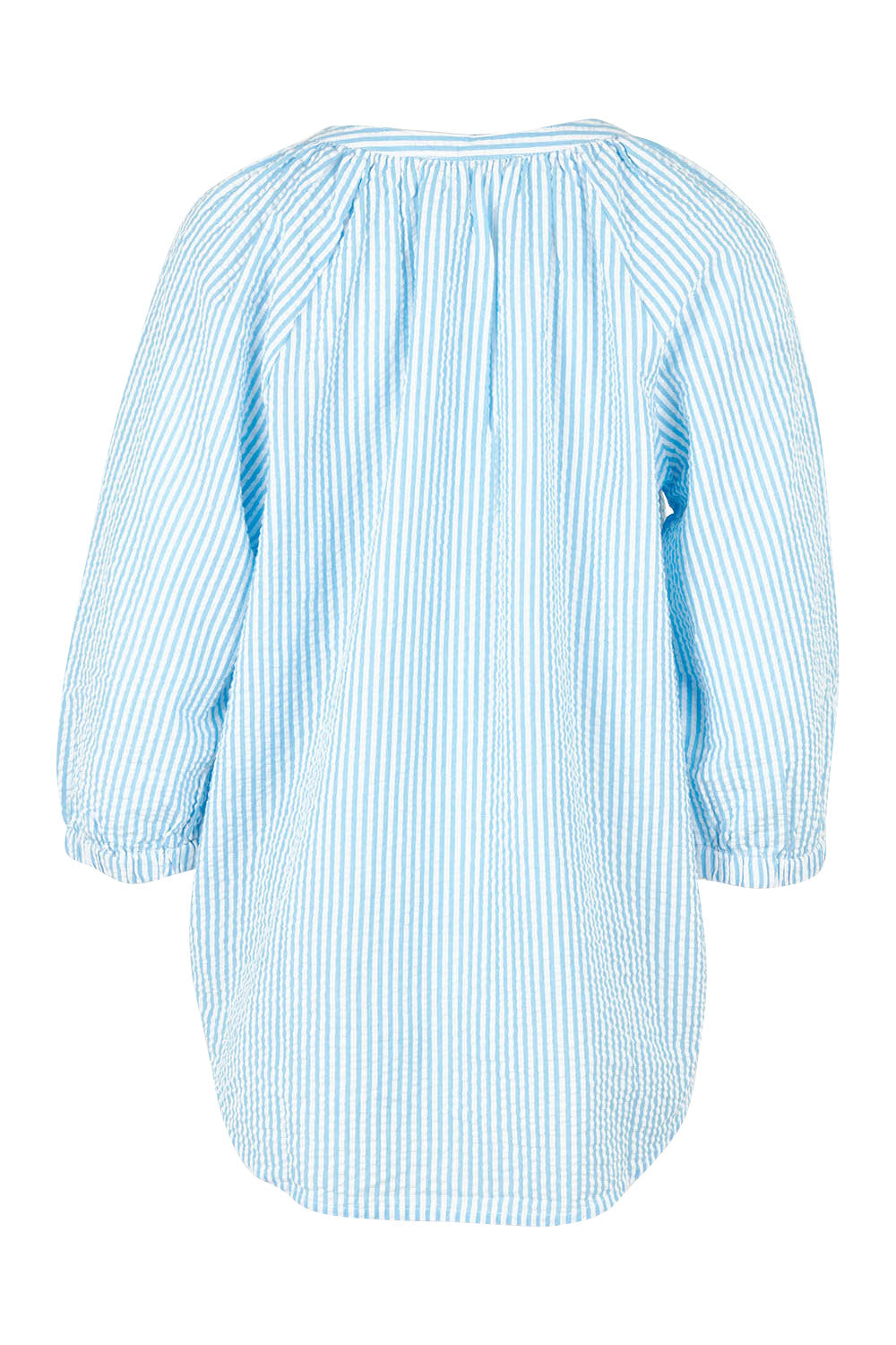 Product shot of the Summer Stripe Cotton Blouse in colour Bluestripe (Blue), from the back