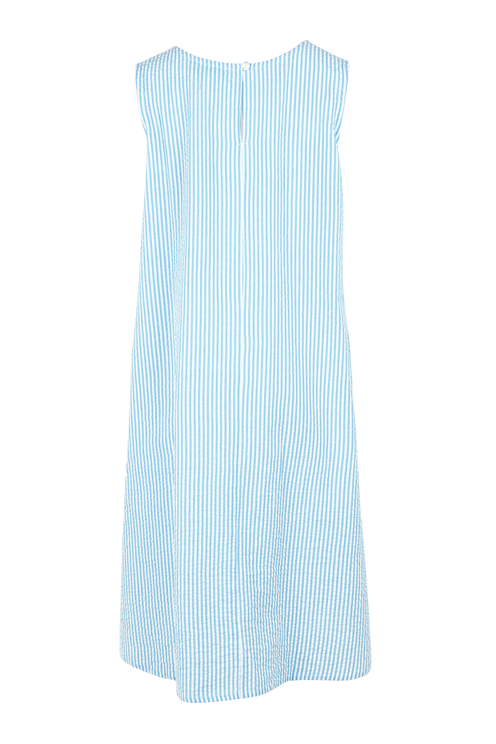 Product shot of the Summer Stripe Cotton Tank Dress in colour Bluestripe (Blue), from the back