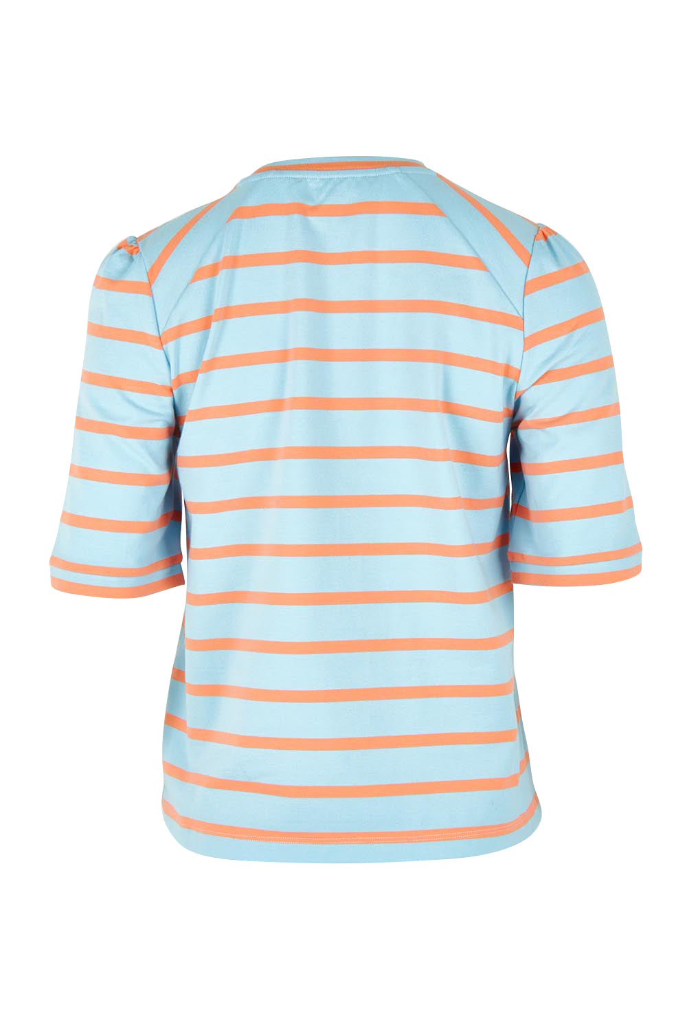 Product shot of the Cotton Stripe Puff Sleeve Top in colour Blueorange (Blue), from the back