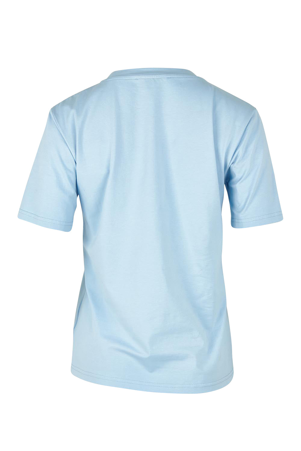 Product shot of the Cotton Daisy Tee in colour Blue (Blue), from the back