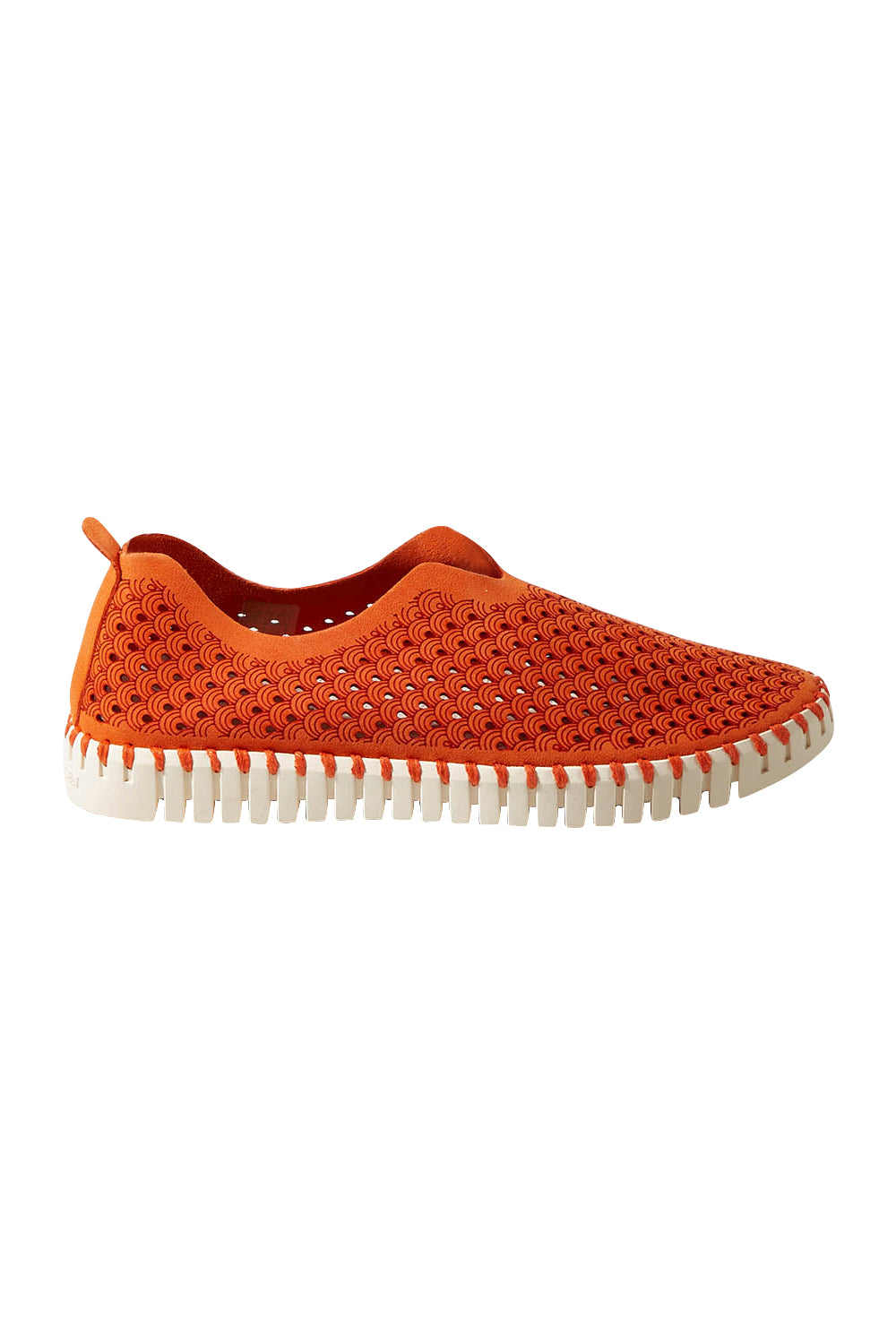 Product shot of the Tulip Sneaker in colour Camelia, from the front