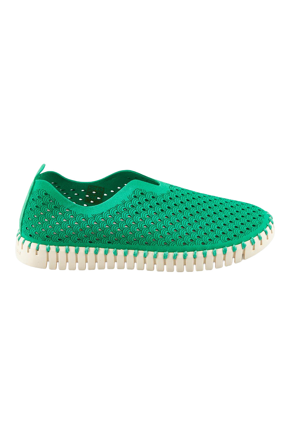 Product shot of the Tulip Sneaker in colour Ferngreen (Green), from the front