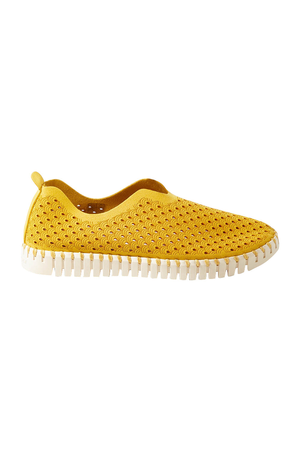 Product shot of the Tulip Sneaker in colour Goldenrod, from the front