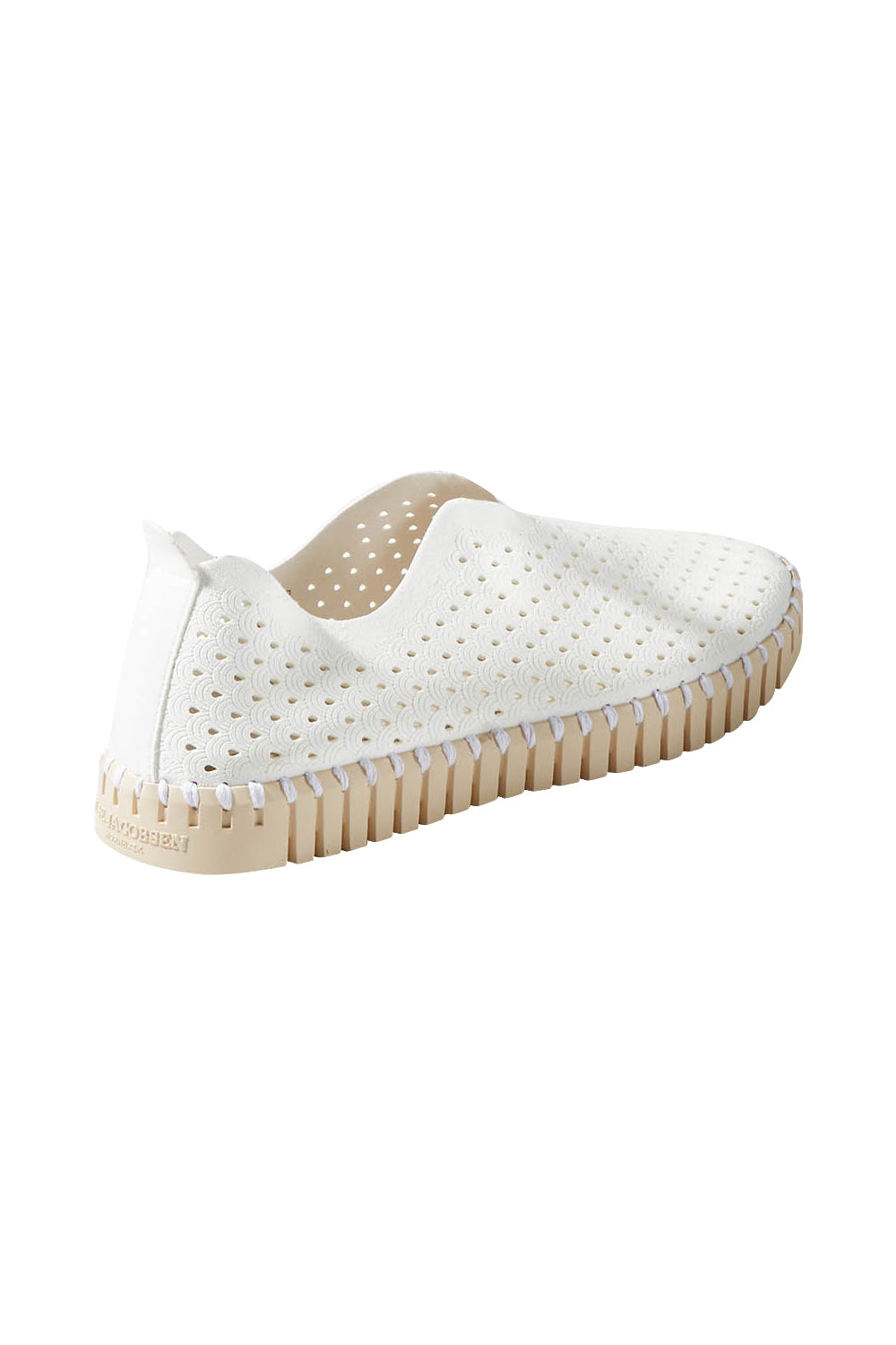 Product shot of the Tulip Sneaker in colour White (White), from the back