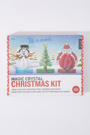 A model wearing size OneSize of the Magic Crystal Christmas Kit in colour White (White), from the front, showing the whole outfit