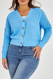 Model Monique wearing size 14 of the Eclipse Cardi in colour Skyblue (Blue), from the front, cropped image