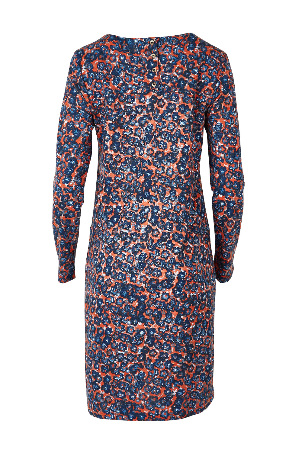 Product shot of the Maisemore Dress in colour Floret (Blue), from the back