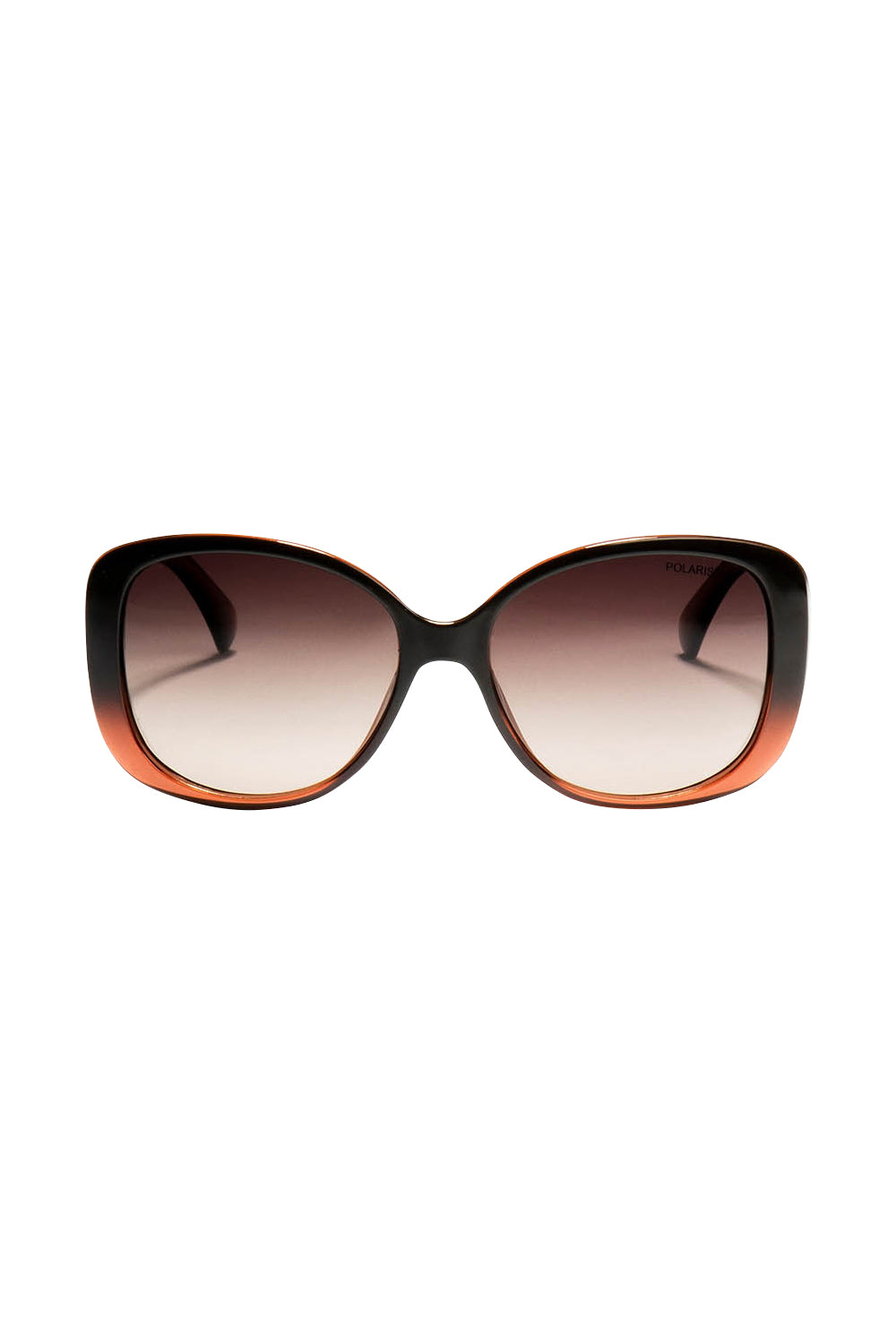 Product shot of the Franca Sunglasses in colour Brown, from the front