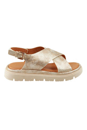 Product shot of the Tolis Flatform Sandal in colour Beigelizar (Metallics), from the front