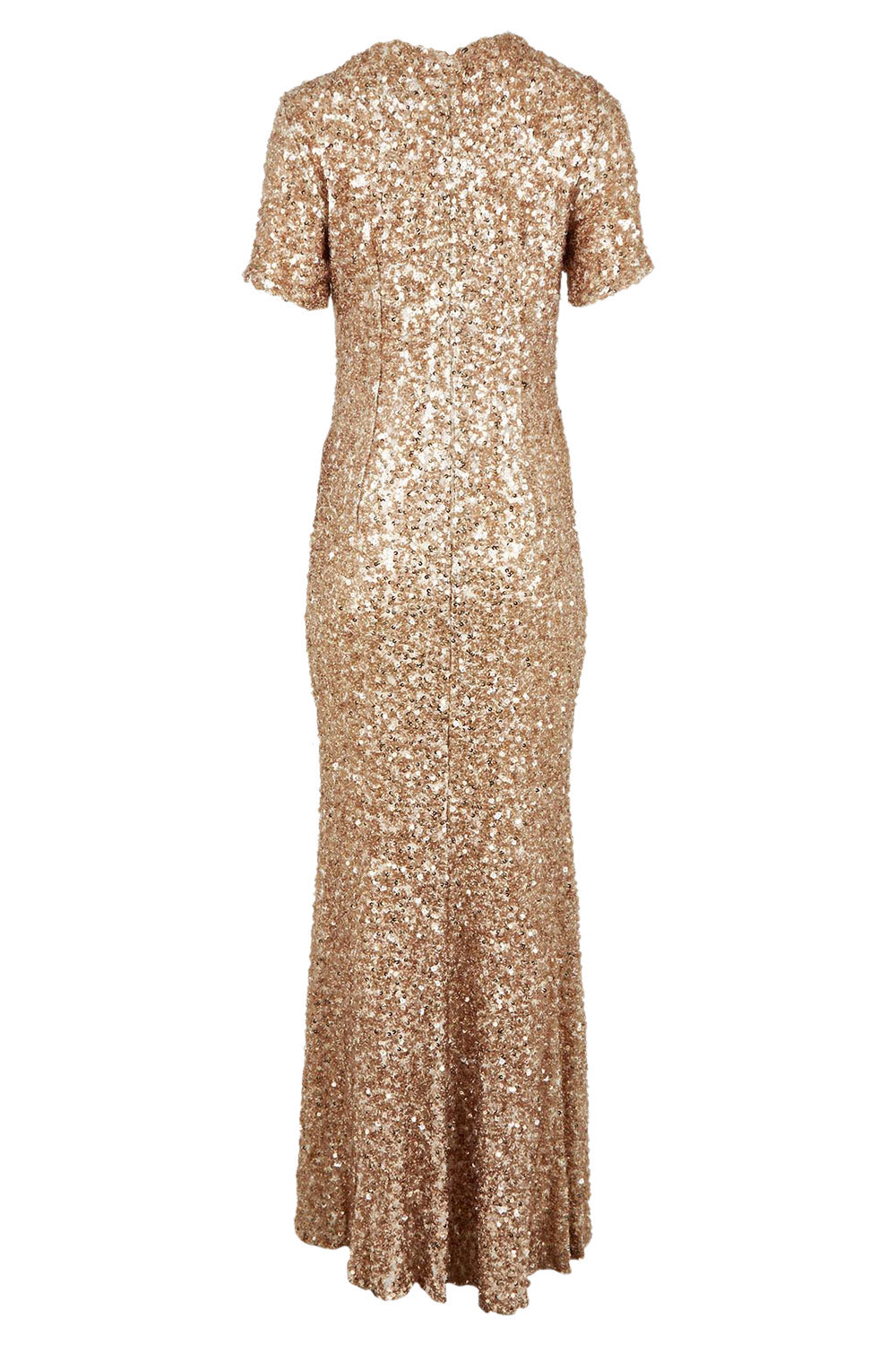 Product shot of the Colette Sequin Gown in colour Mink, from the back