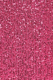 Product shot of the Reegan Sequin Skirt – Cerise in colour Cerise, showing detail