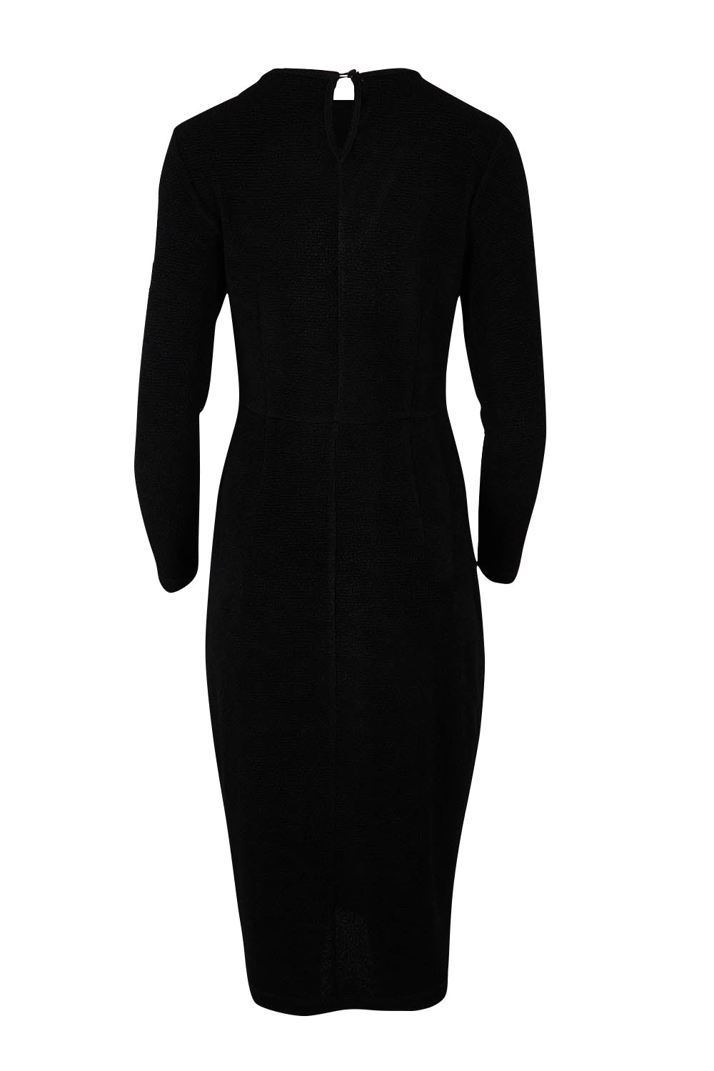 Product shot of the Elisa Dress in colour Black (Black), from the back