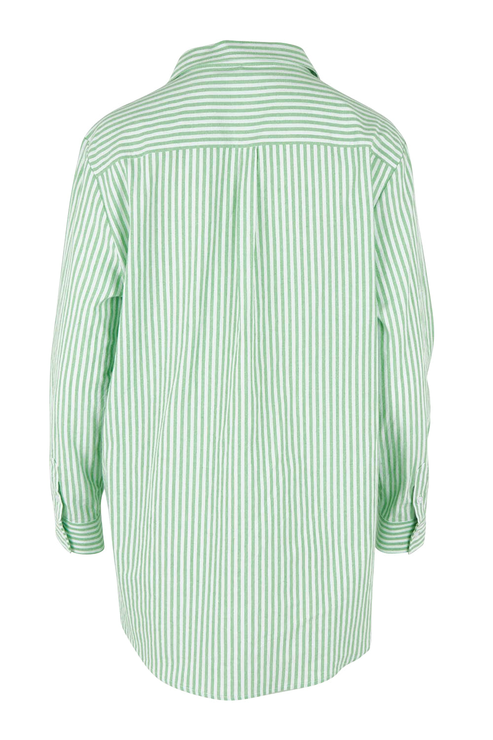 Product shot of the Cotton Oversized Stripe Boyfriend Shirt in colour Green (Green), from the back
