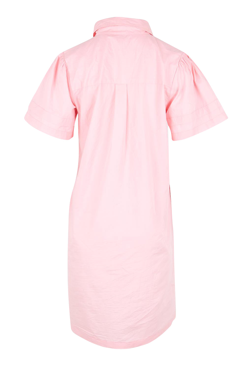 Product shot of the Essentials Poplin Flair Collar Cotton Dress - Pink in colour Pink, from the back