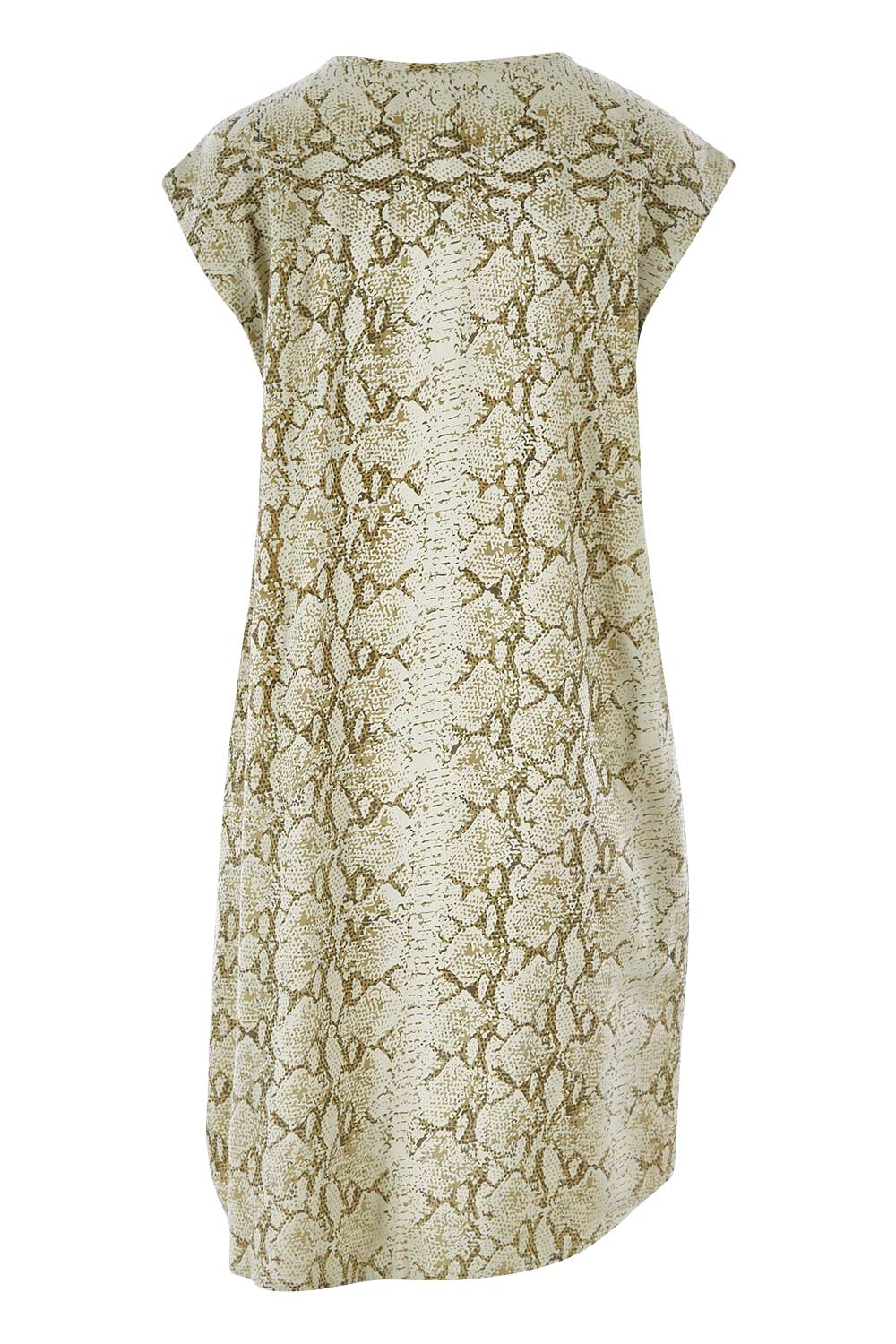 Product shot of The Button Up Snake Shift in colour Khaki (Green), from the back