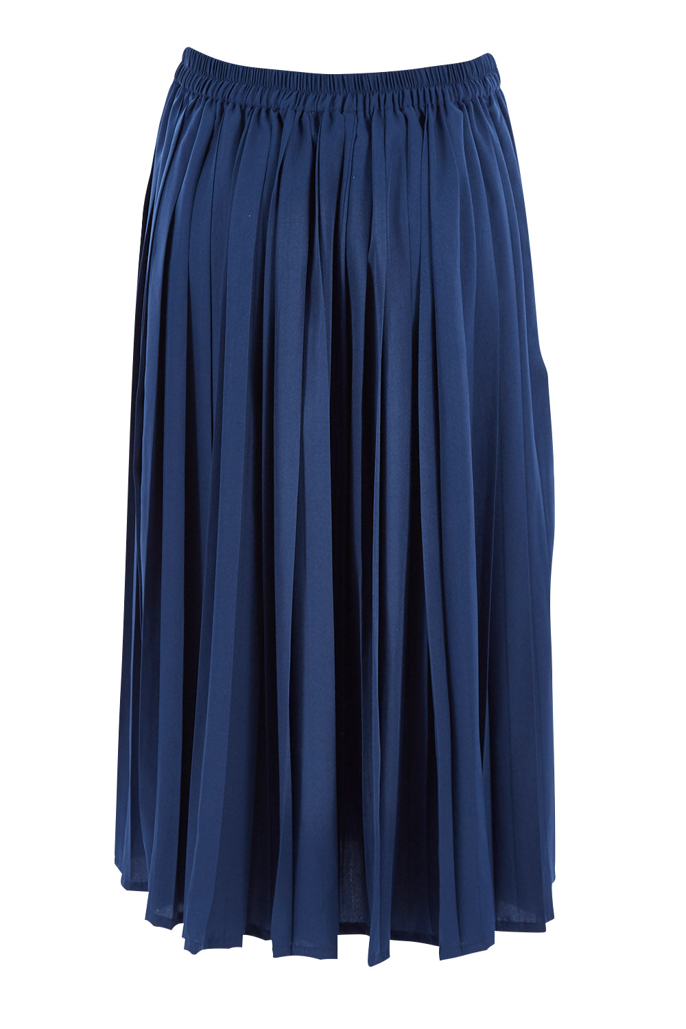 Product shot of The Pleated Skirt in colour Navy (Blue), from the back