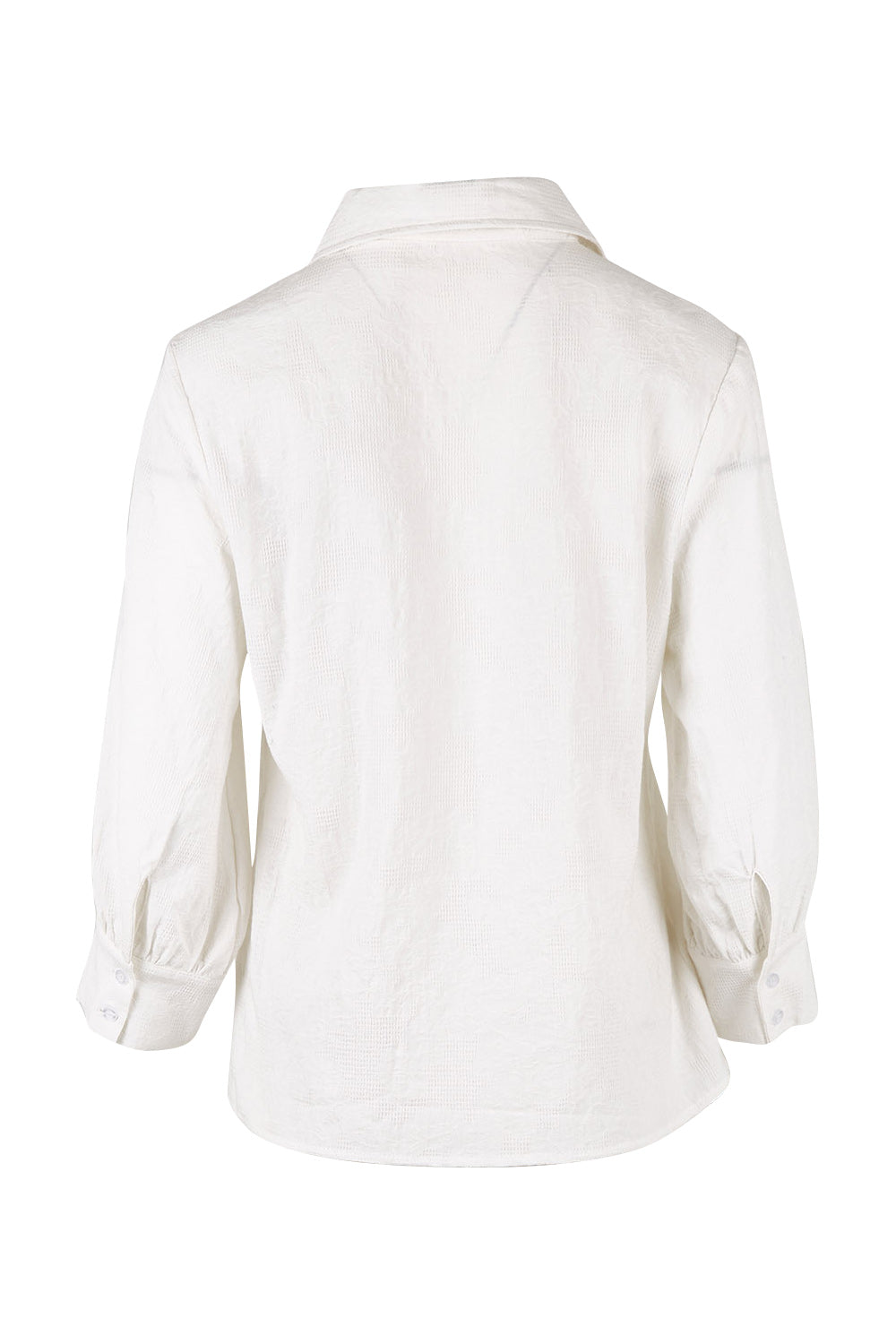 Product shot of The Frill Placket Cotton Dobby Shirt in colour White (White), from the back