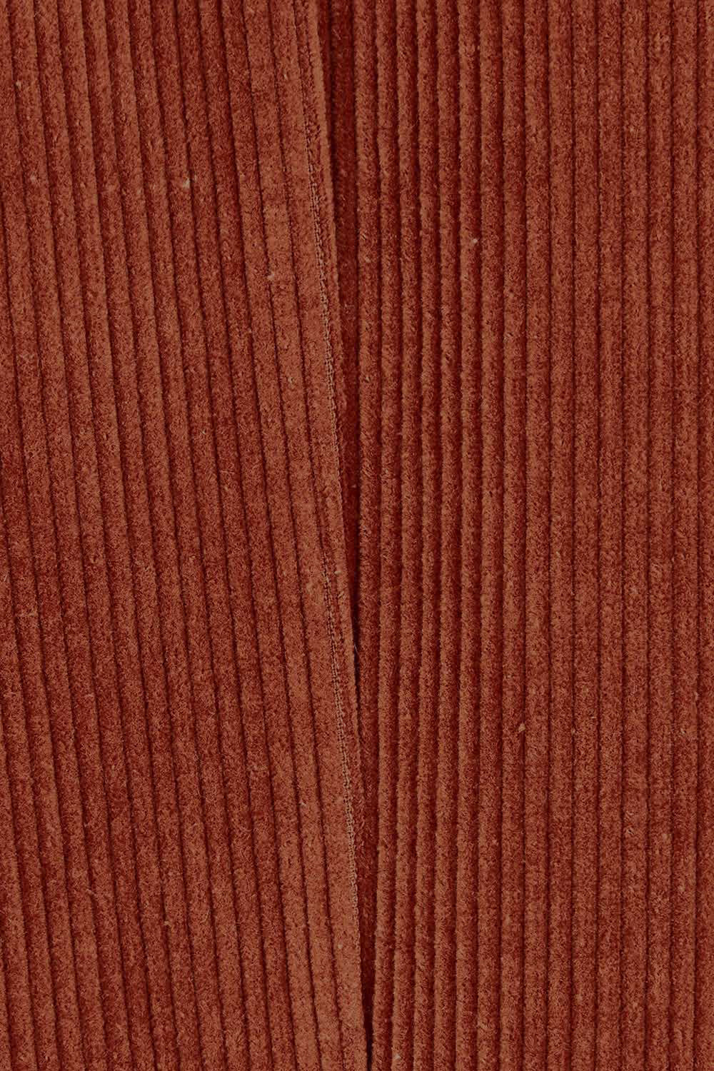 Product shot of the Feeling Good Cord Blazer in colour Rust, detail