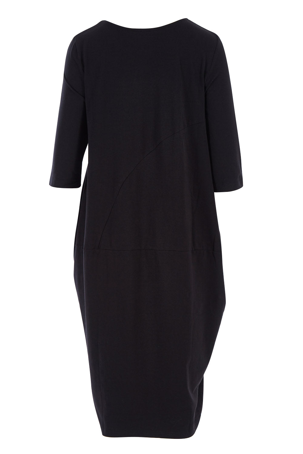 Product shot of the Curved Seam Dress in colour Black (Black), from the back