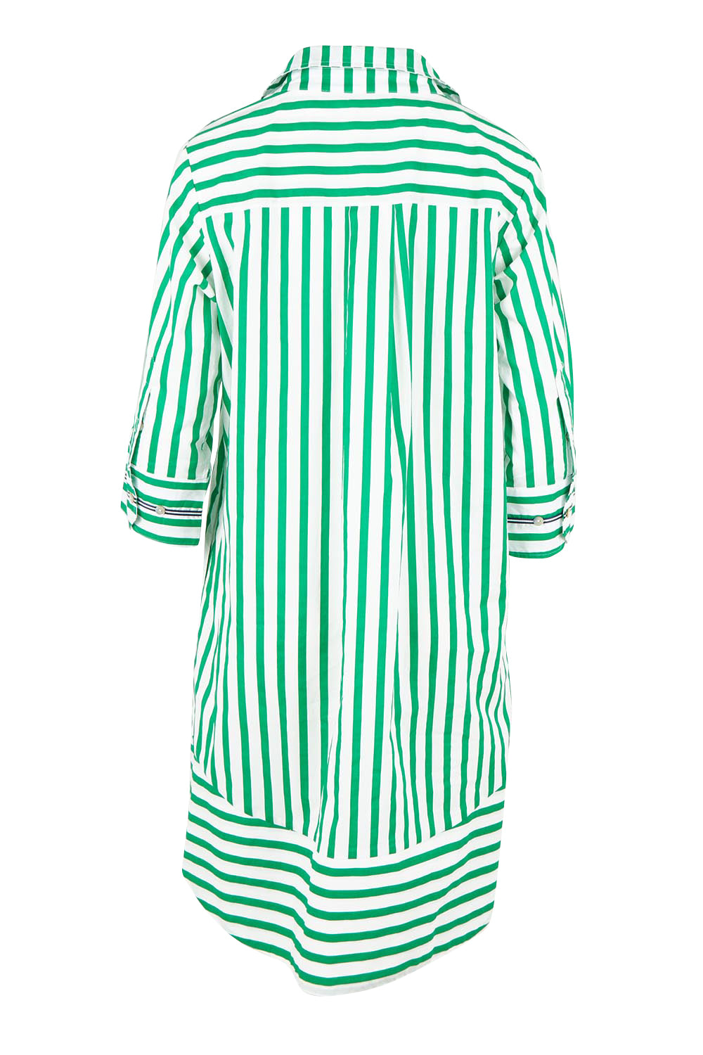 Product shot of the 2 Way Stripe Dress – Green in colour Green, from the back