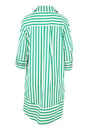 Product shot of the 2 Way Stripe Dress – Green in colour Green, from the back