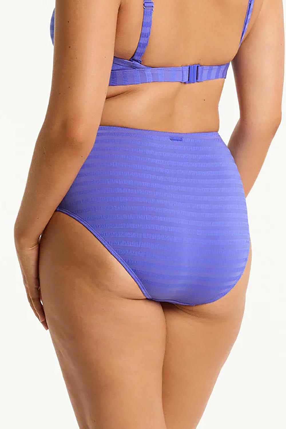 A model wearing the Panelled High Waist Pant in colour Iris (Blue), from the back