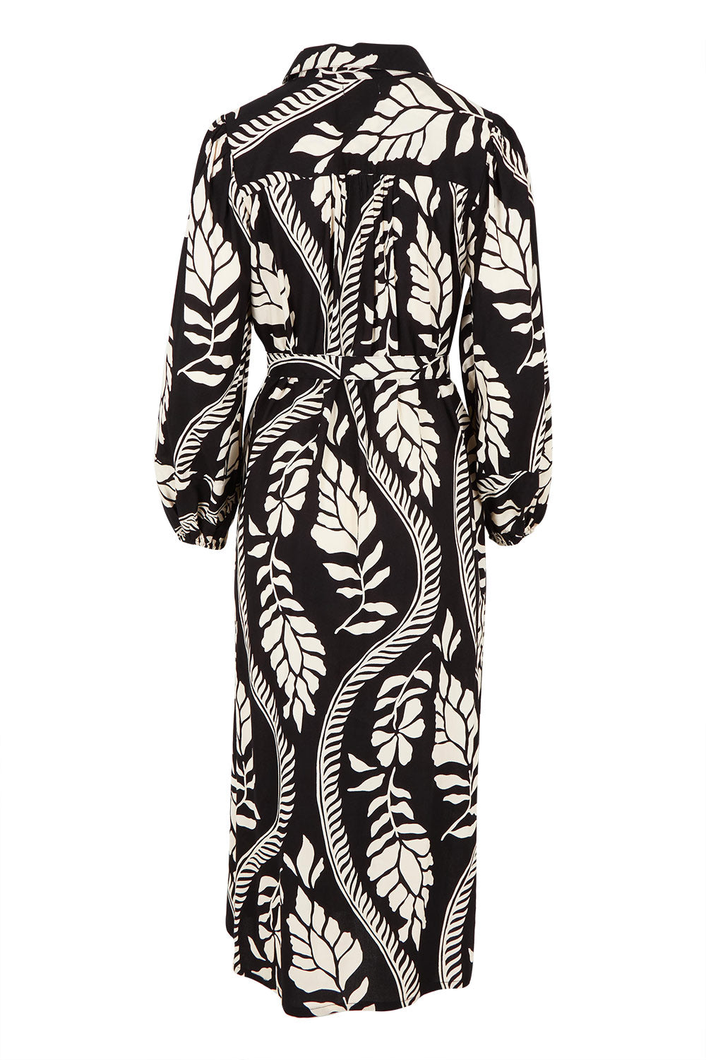 Product shot of the Leah Midi Shirt Dress in colour Blkvine (Black), from the back