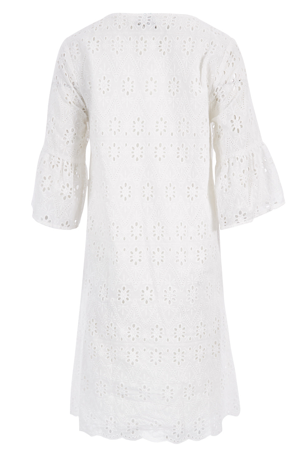 Product shot of the Lace Dress in colour White (White), from the back