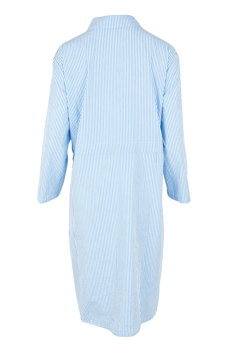 Product shot of the Skyler Stripe Cotton Dress in colour Blue (Blue), from the back