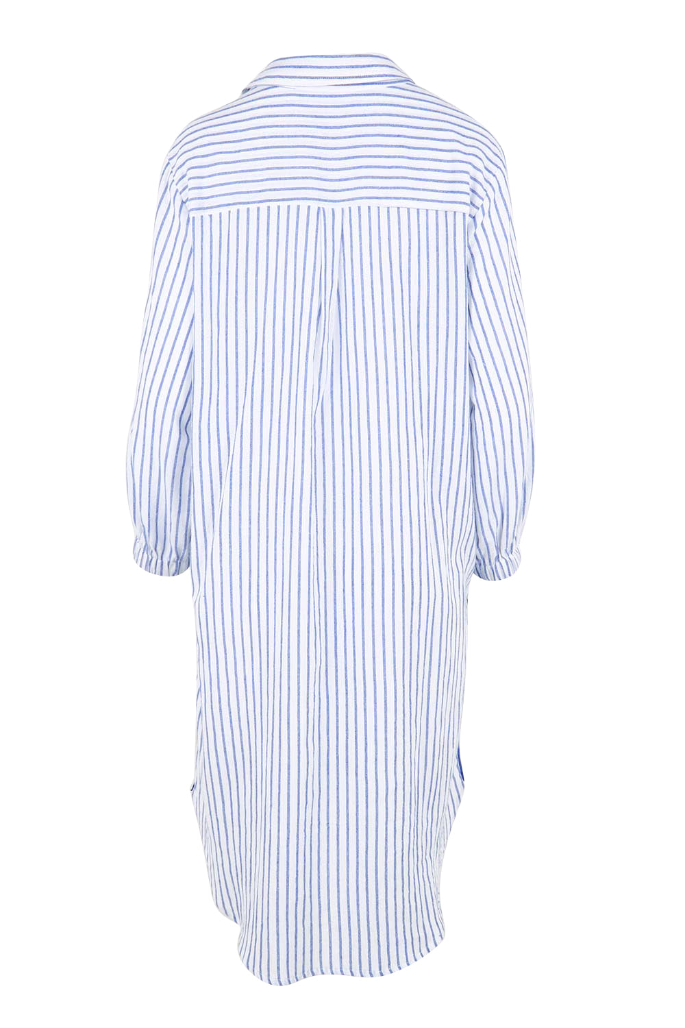 Product shot of the Coast Stripe Shirtdress – Bluewhite in colour Bluewhite, from the back