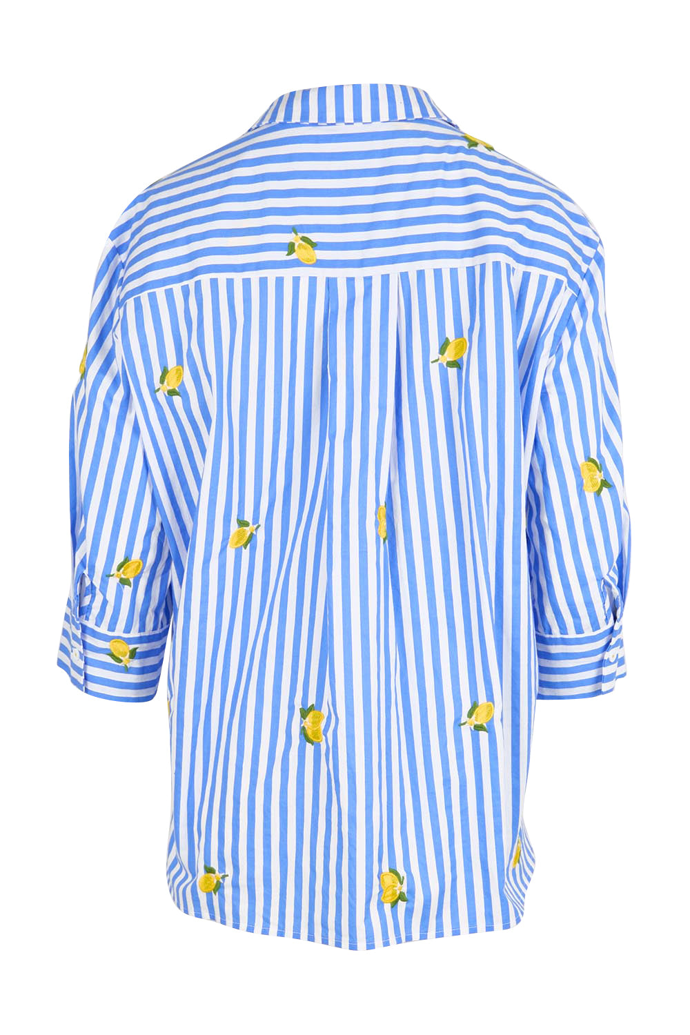Product shot of the Spritz Stripe Shirt – Bluewhite in colour Bluewhite, from the back