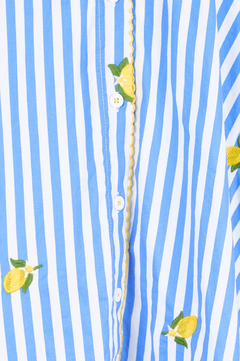 Product shot of the Spritz Stripe Shirt – Bluewhite in colour Bluewhite, showing detail