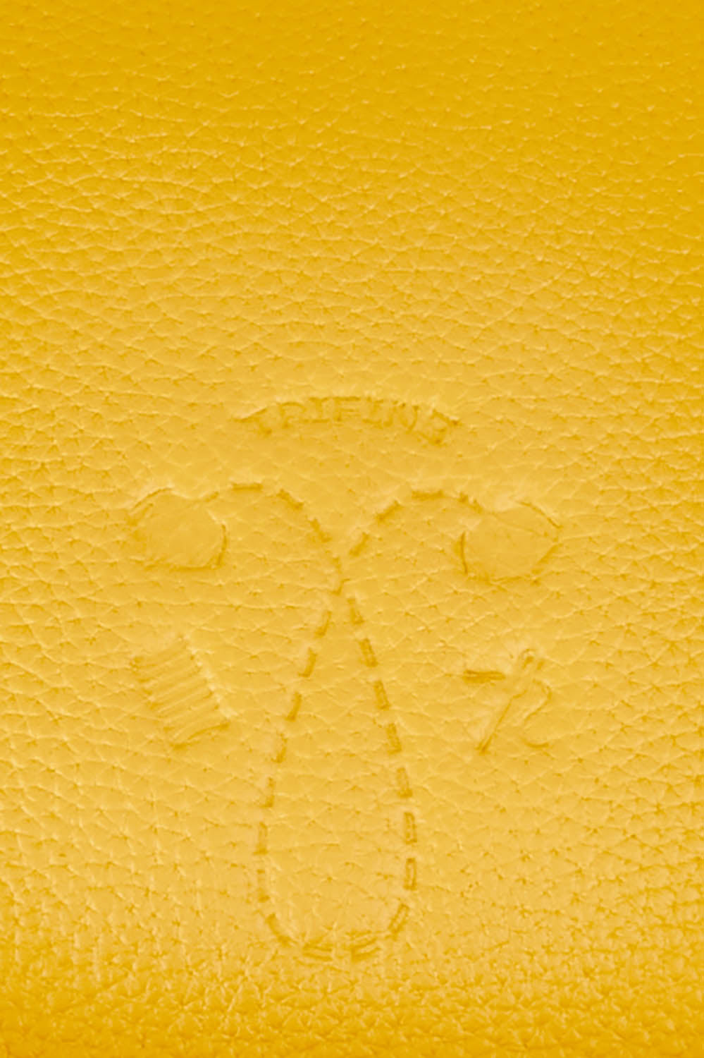 Product shot of the Small Leather Crossbody Bag in colour Mustard, detail