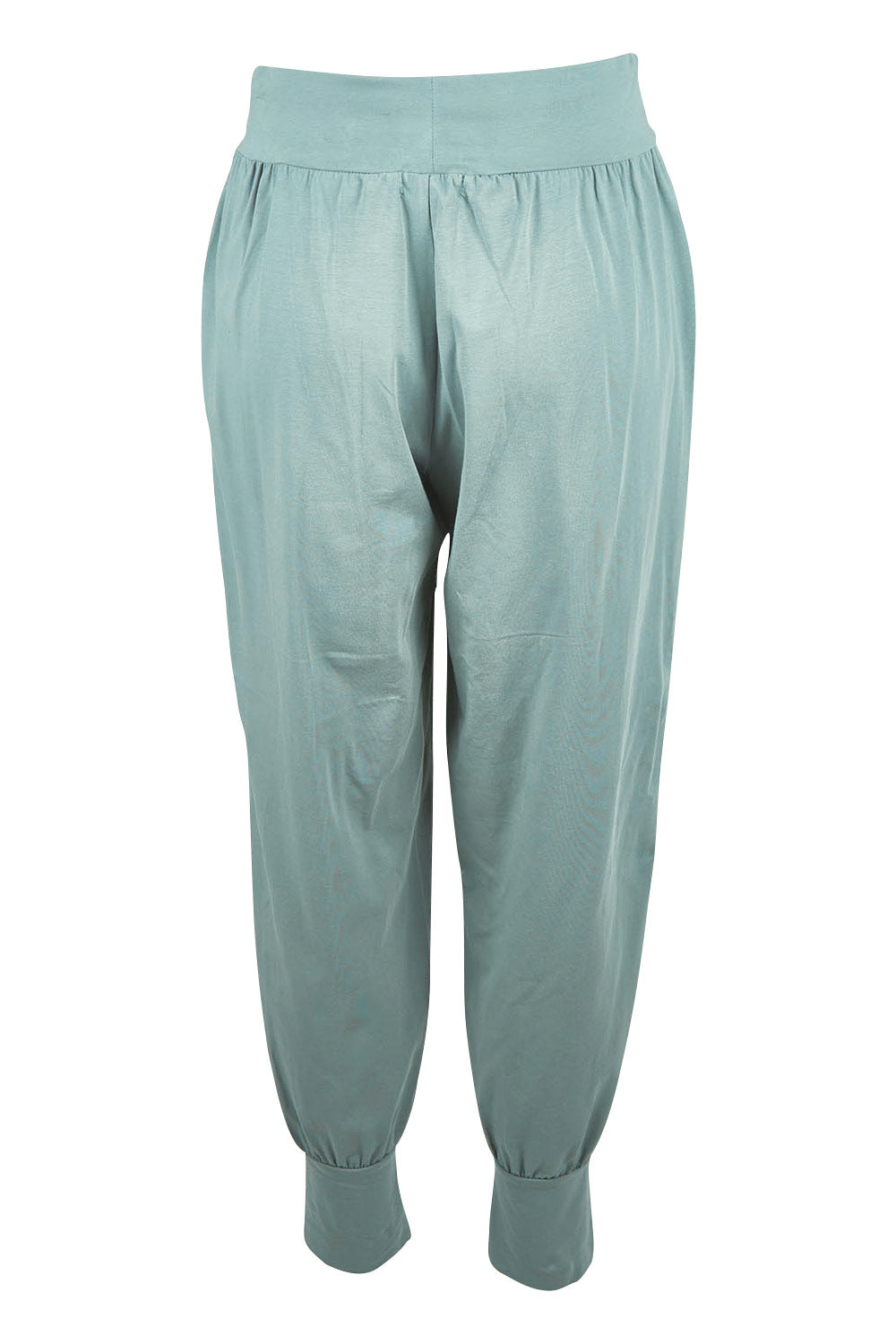 Product shot of the Cotton Jersey Pull On Jogger – Sage in colour Sage, from the back