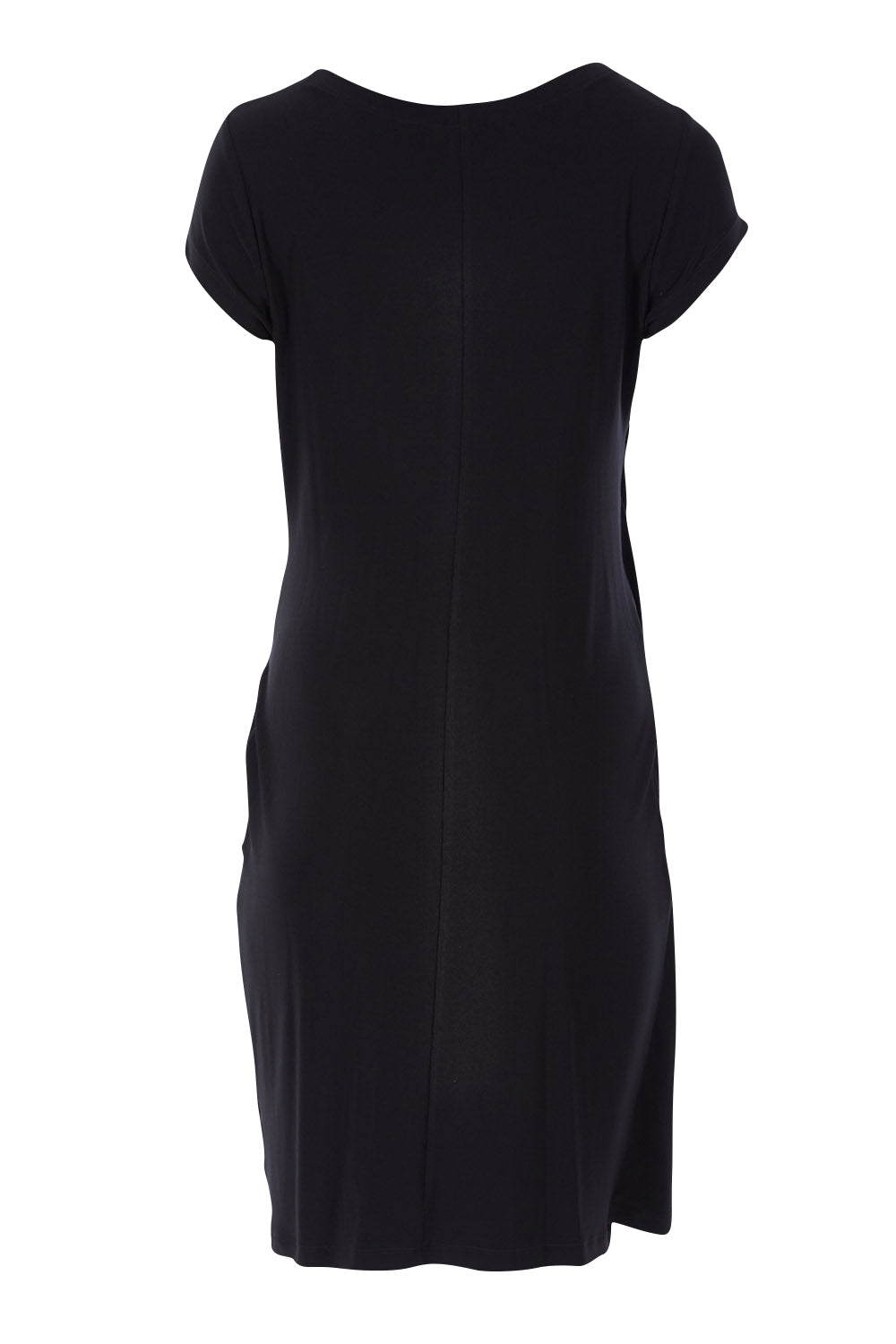 Product shot of the Front Detail Dress in colour Black (Black), from the back