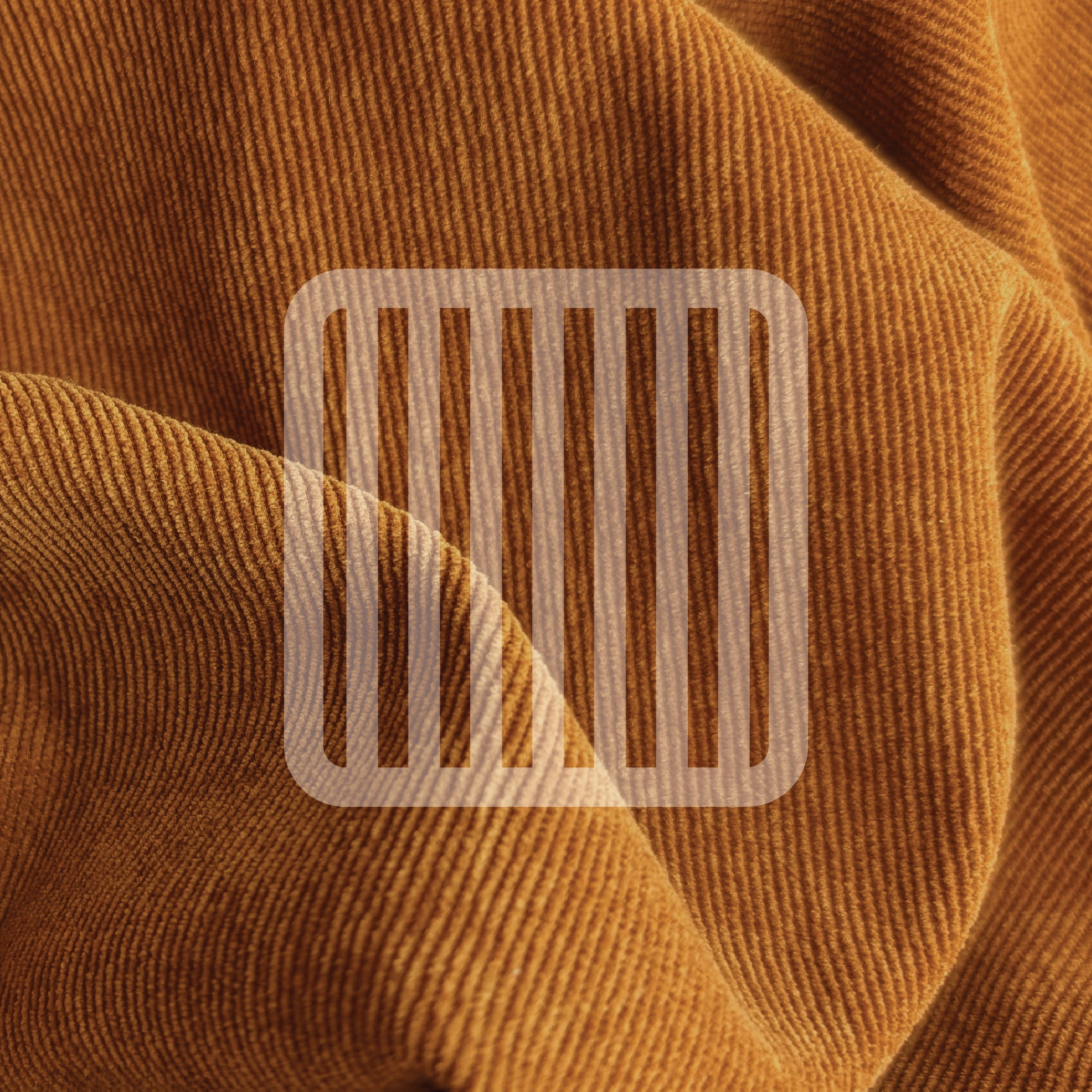 Corduroy